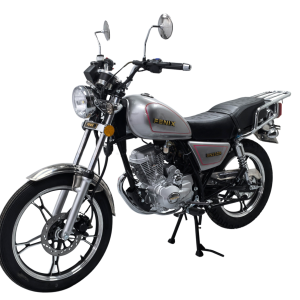 Moto FENIX GN150F en PLATEADO