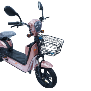 BICILETA ELECTRICA MASTER SONIC